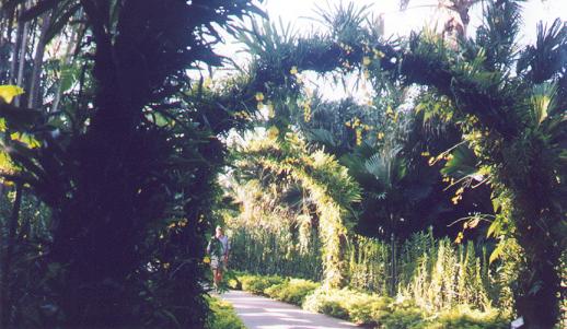 Caminhos do Jardim Botnico de Singapore